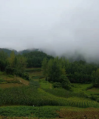 逃避职场,小时候的留守经历让我成为了全职妈妈