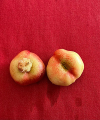 ���Ӻúóԣ��ҵ�Ŧ������ҵ���