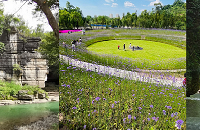 ϴж౦أ¶Ӫޡˣˮʳȫ