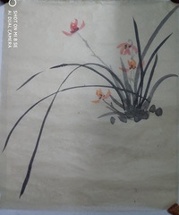 ���޳������Ϊ��