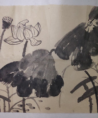 ���޳������Ϊ��