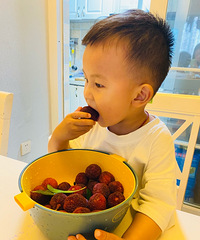 ��÷�������ҵı���ˮ������ε���Ķ�����÷����ִ��ֺó�