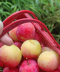 �������ˣ��ֺ��ִ������𣬿���˵���ǻ᳤�ĹԱ�����~