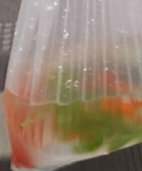 网友吐槽轻轨站不能带金鱼