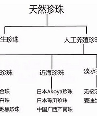 ����顢��������akoya������Ʒ��֪���٣�