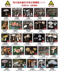 ���쳣����Ģ�����ܣ���ϧ������Ҫ������˯��塱