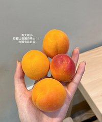 夏天到了,你们在网上有买到什么好吃便宜的水果吗?