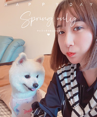 93����Ŀ������˾������������飬�ƽ�����֪����