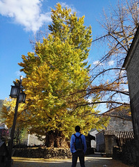 85��177CM�ĸ������飬�������ڹ���