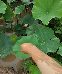 Ǳ߼ʮĶɻԲˣԱ߻ܴ