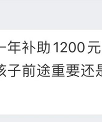 老公把孩子户口上到农村就为了占补助,我气惨了