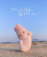 ���컹�����ĵģ�һ������������������ҿ����������ӵ�����