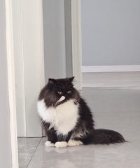 �۷��Ͷ��˵�Ӱ���ж��