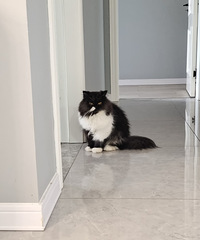 �۷��Ͷ��˵�Ӱ���ж��