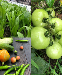 ¥Ҳзգѻƹϴգ˶Բ