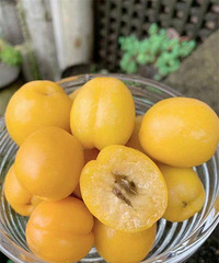 �ƽ����һ�����Ϯ�������½�С���ӡ�������ȣ�39.9����