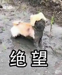 大家有没有什么生不如死的小病?