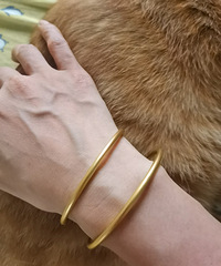 618���������ŷ�ϸ��Ȧ���������������ʡ�