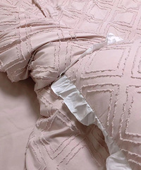 �Լ򵥸ɾ��ķ�ɫ���һ���Ķ������������ܵ��ļ���