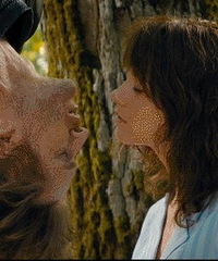 ���������ڣ���������������