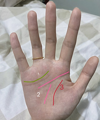 ���Լ����Լ�����һ�����ࣨ���������顢���ˣ�