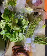 �����ռǣ��󷹡�˯�����������ѵ��ճ�