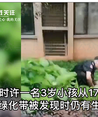 3岁幼儿17楼坠下竟有内幕?令人惊愕