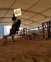 91��163CM��˫����С������飬����ҽ������