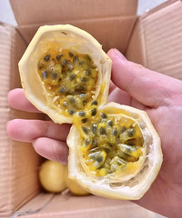 终于买到了甜甜的百香果!可以直接吃的那种