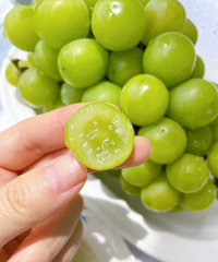 �ƽ����ҡ����Ʊ���ܹϡ�����â�ȣ�29.9����