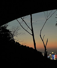 大雨后,在涂山寺偶遇一场日落