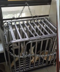 邻居占用楼道,还把狗养别人家门口
