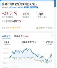 最近基金涨势一片大好!刚买的新能源暴涨,大家来说说追加不