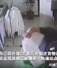 2万貂皮被快递当垃圾扔,赔300