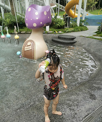 �����ĵ��޶�������