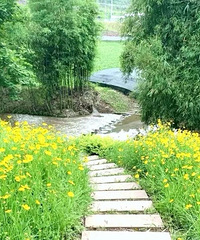 ¶Ӫץ㡢׽зԭ̬ˣˮ