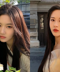 ��������ƻ�ȫ�����������ǵ��յ�����������ʺ�խ˫