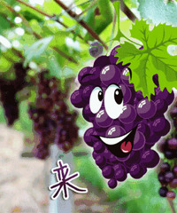 ������������Щ�ط�����������~�����Сʱ�͵�