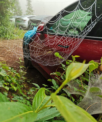 ˵е조¶Ӫ컨塱ɫˣˣˮ