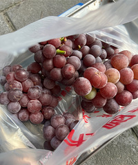 �°�·�����˵��ɽ���ѣ����Ǯһ������