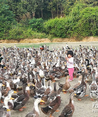 爷爷奶奶养娃差别有多大,看完照片这是我儿?