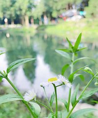 ҤΪʲôô𣿳ˡ䡱ѡӪλҲн