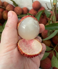 ��ζ���̫�ó��ˣ�һ�������Ľ���µ���֦��