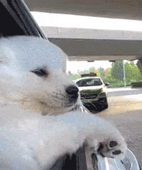 ֵҩˮ29CCAţ͹Ĥ216