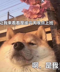 大种草!来晒晒你们夏天背的通勤包!顺便看论坛姐妹们都背了哪款
