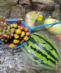 ǵıصأˣˮҰץз̫