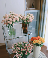 ƴ������Ѿ��������岨���ˣ������˺ܶ���Ʒ�֣�