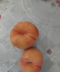 跟团的蟠桃,多汁,大的有我手掌般大