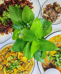 90��162CM�Ĺ���С������飬ϣ���Է�86~94��