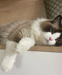 95��170CM�������������飬ϣ���Է�����176����